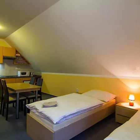 Apartment Apartmany Sport With Garage